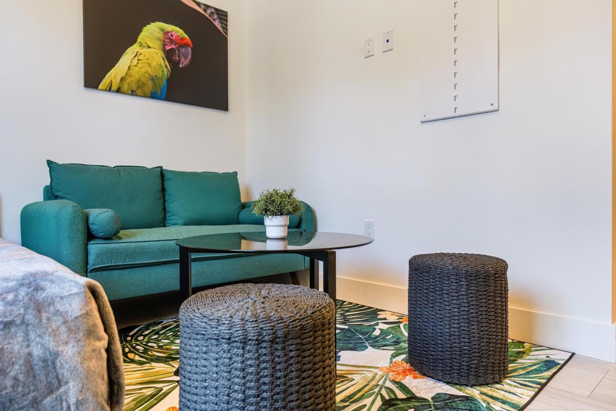 Olive Apartments Miami Pokój zdjęcie